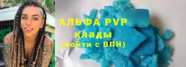 дживик Каменка