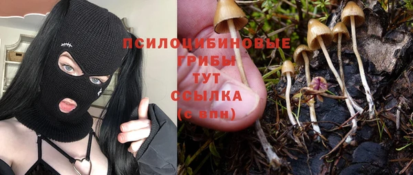mdma Каменногорск