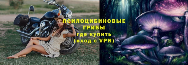 шишки Карпинск