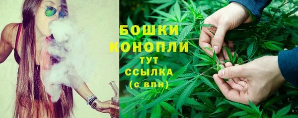 дживик Каменка