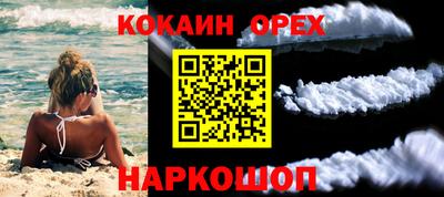 гидропоника Заводоуковск