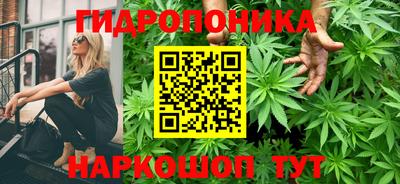 гидропоника Заводоуковск